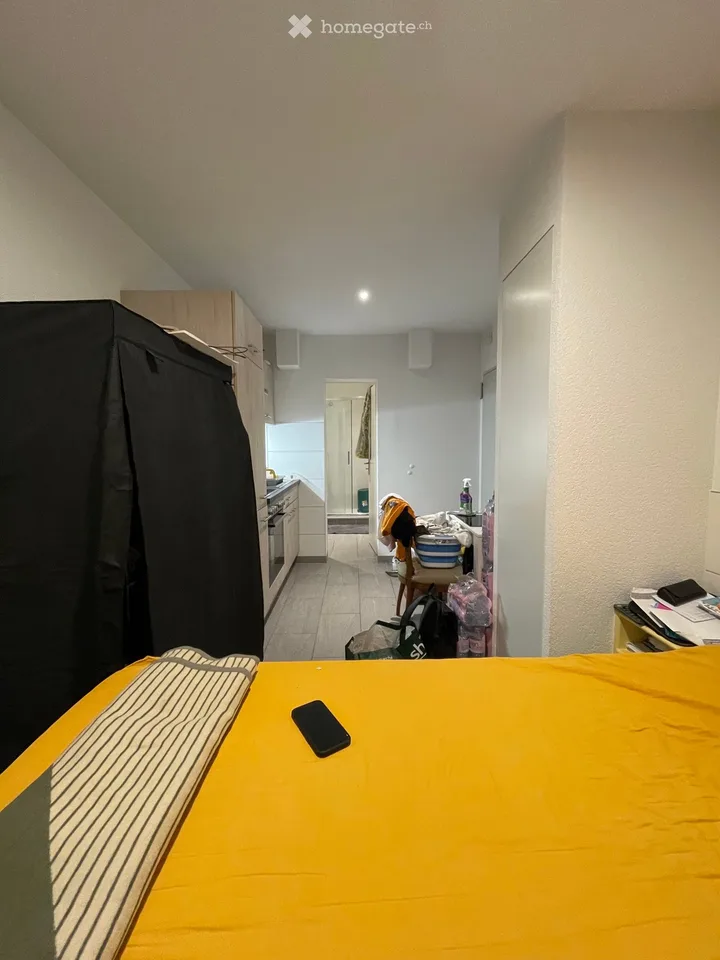 Reprise de bail - Appartement meublé rénové à neuf