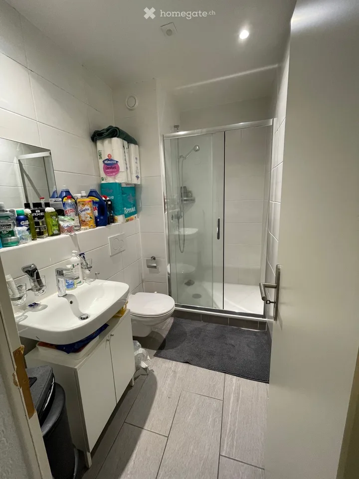 Übernahme des Mietvertrags - Renovierte möblierte Wohnung
