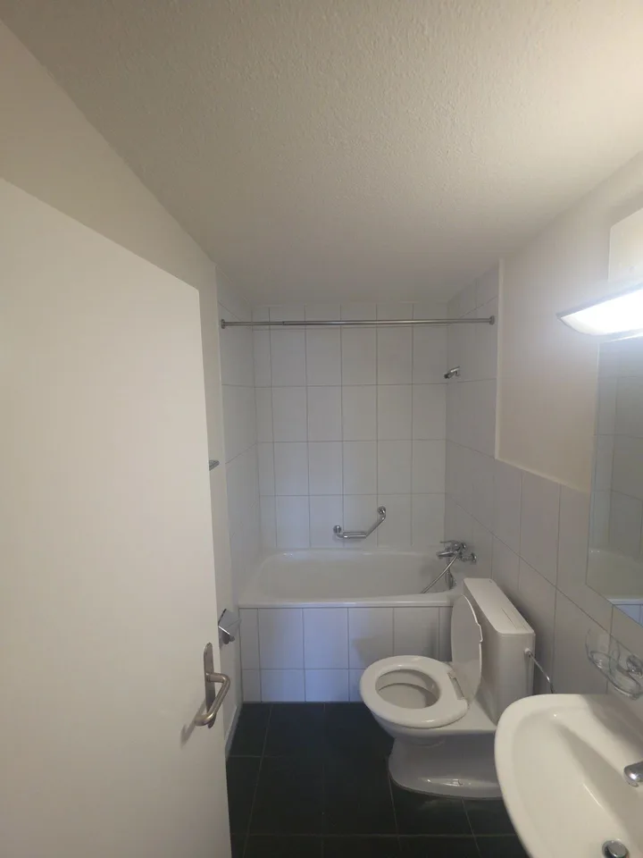Appartamento di 4,5 locali ristrutturato in una zona tranquilla con piscina all'aperto