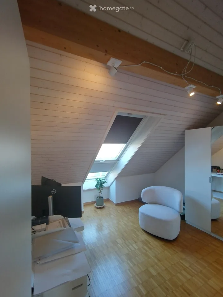 Appartement sous les toits à Tagelswangen dans un endroit calme
