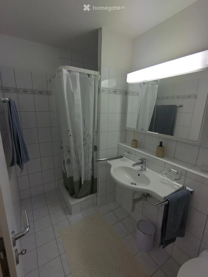 Appartement sous les toits à Tagelswangen dans un endroit calme