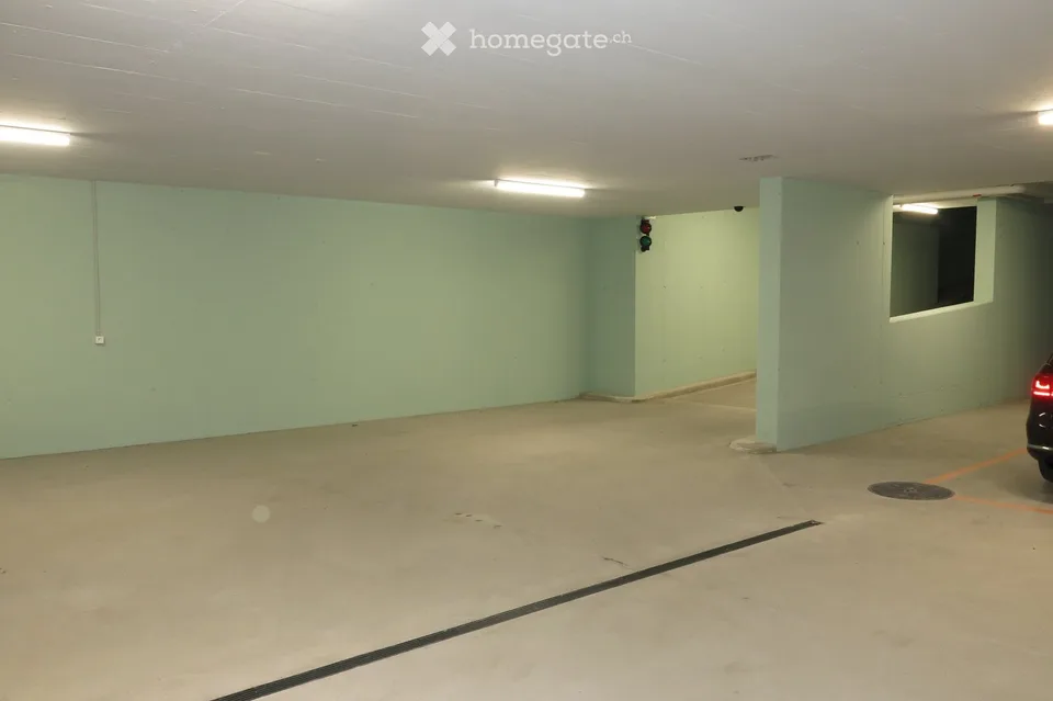 Moderne 4.5-Zimmer-Duplex-Wohnung/DEFH in Nänikon - Uster
