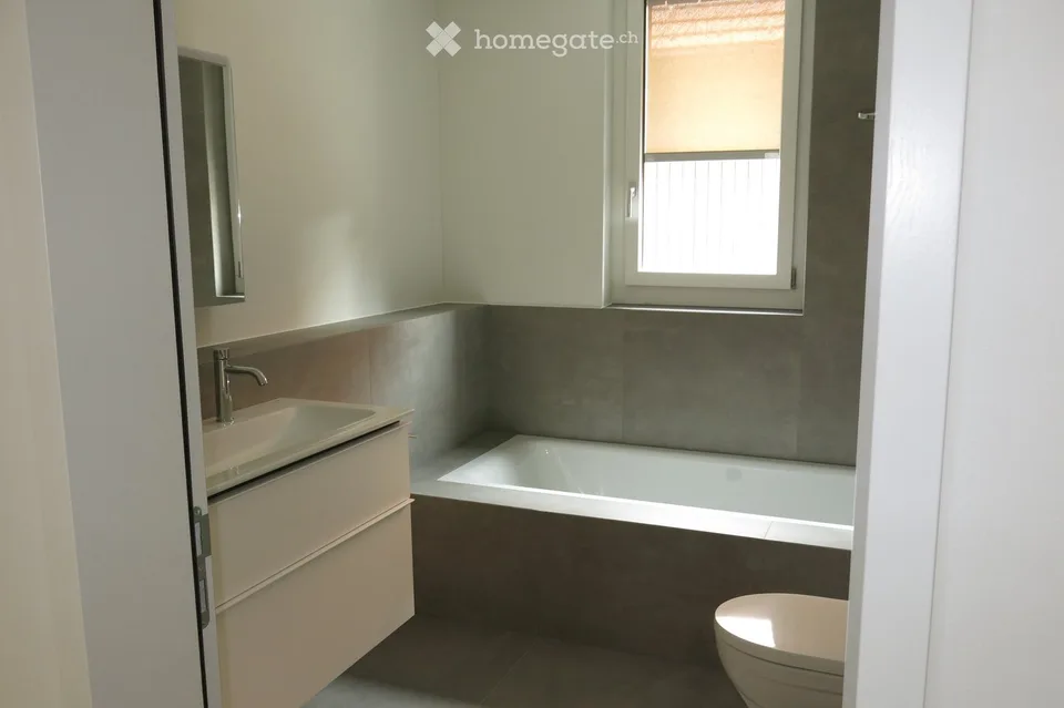 Moderne 4.5-Zimmer-Duplex-Wohnung/DEFH in Nänikon - Uster