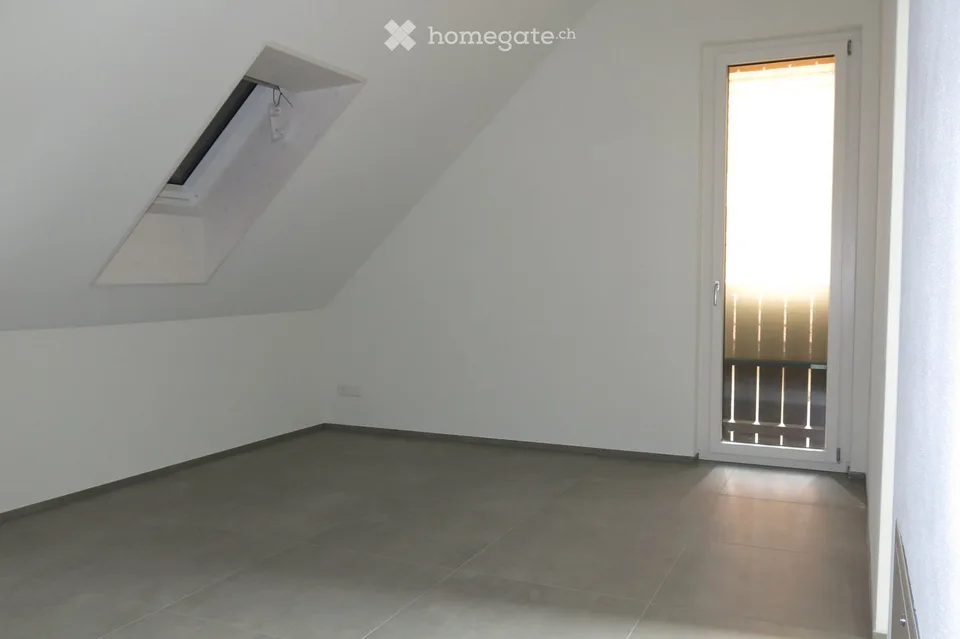 Moderne 4.5-Zimmer-Duplex-Wohnung/DEFH in Nänikon - Uster