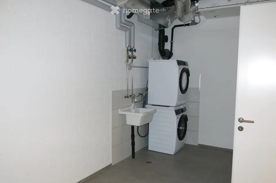 Moderne 4.5-Zimmer-Duplex-Wohnung/DEFH in Nänikon - Uster