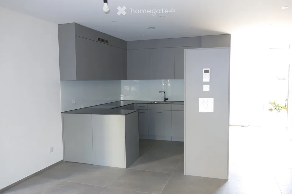 Moderne 4.5-Zimmer-Duplex-Wohnung/DEFH in Nänikon - Uster