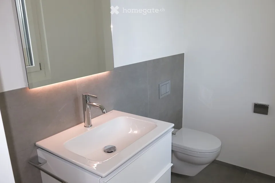 Moderne 4.5-Zimmer-Duplex-Wohnung/DEFH in Nänikon - Uster