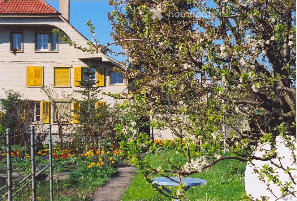 Renovierte, grosse und sehr helle 2.5-Zimmerwohnung