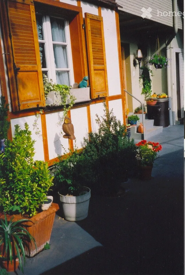 Renovierte, grosse und sehr helle 2.5-Zimmerwohnung