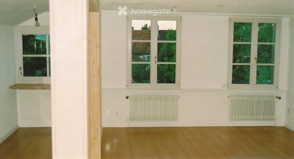 Renovierte, grosse und sehr helle 2.5-Zimmerwohnung