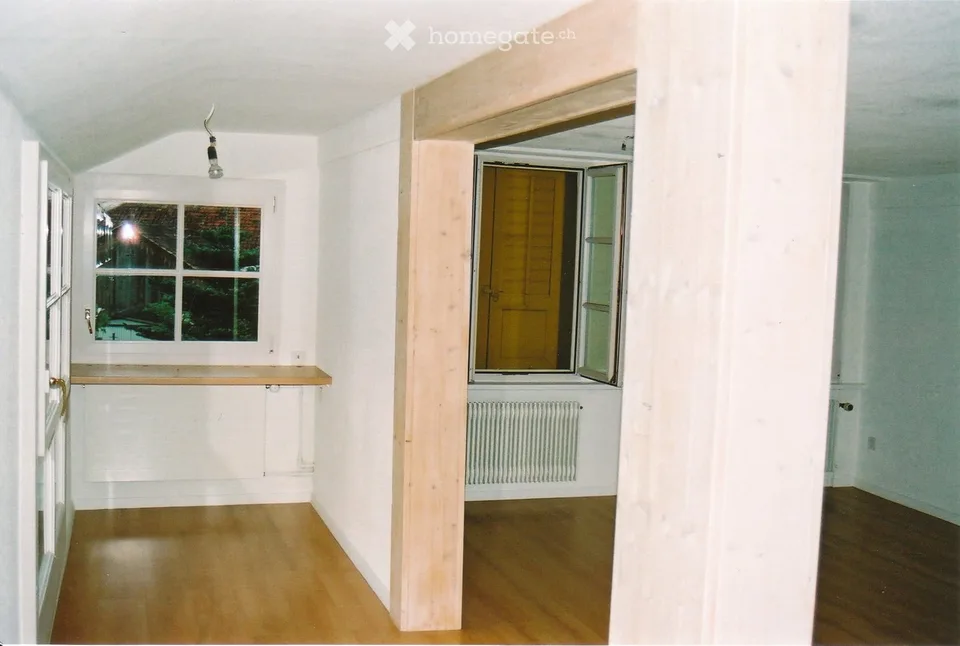 Renovierte, grosse und sehr helle 2.5-Zimmerwohnung