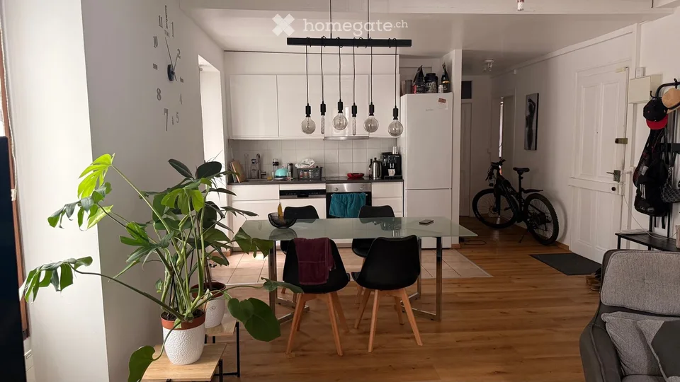 Bel appartement lumineux à Versoix  Vue sur le lac