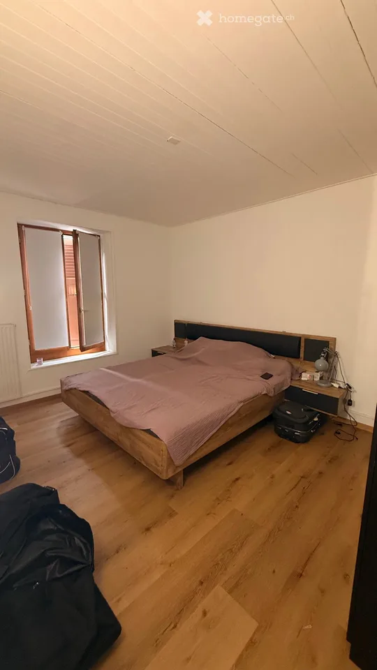 Bel appartement lumineux à Versoix  Vue sur le lac