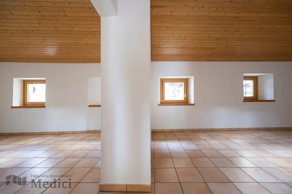 CHARACTERISTIC 4.5 ROOMS IN THE CENTER OF ARZO