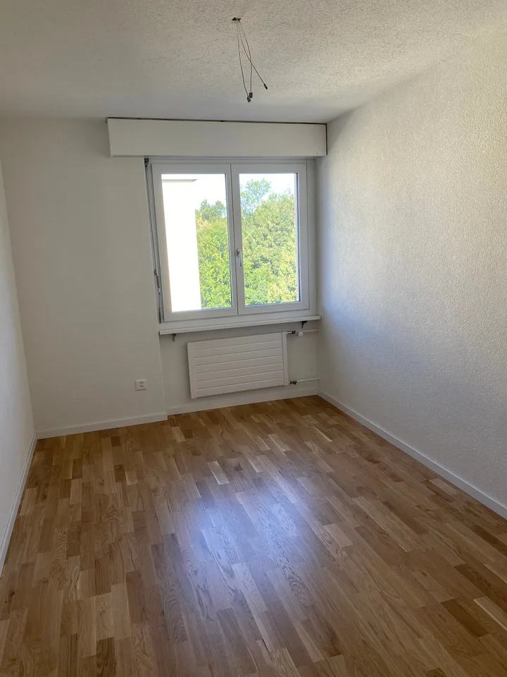 *Frisch renovierte 3-Zimmerwohnung mit zwei Balkonen*