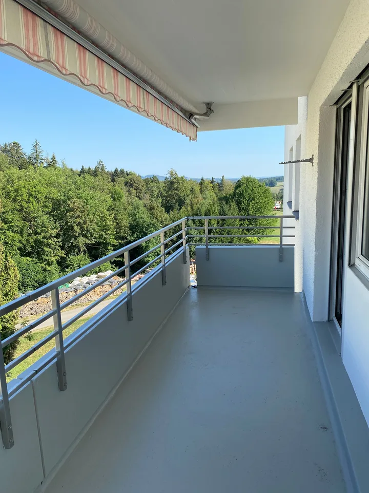 *Frisch renovierte 3-Zimmerwohnung mit zwei Balkonen*