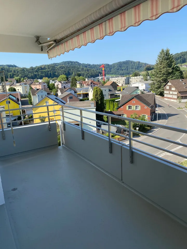 *Frisch renovierte 3-Zimmerwohnung mit zwei Balkonen*