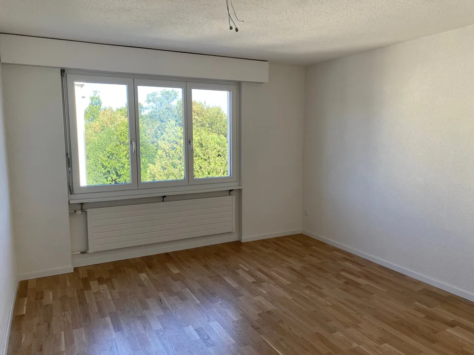 *Frisch renovierte 3-Zimmerwohnung mit zwei Balkonen*