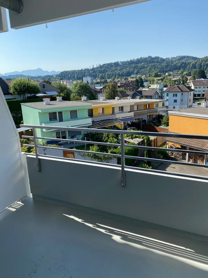 *Frisch renovierte 3-Zimmerwohnung mit zwei Balkonen*