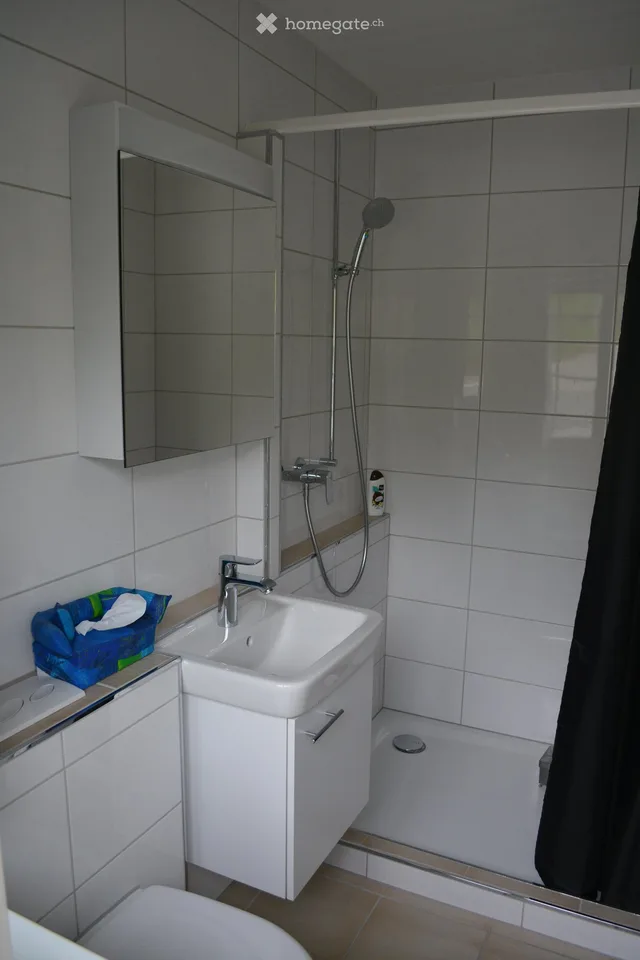 Möbliertes Studio in Lengnau AG
