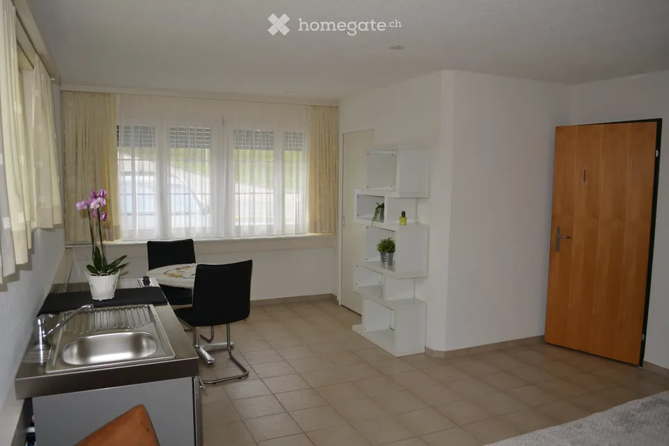 Möbliertes Studio in Lengnau AG