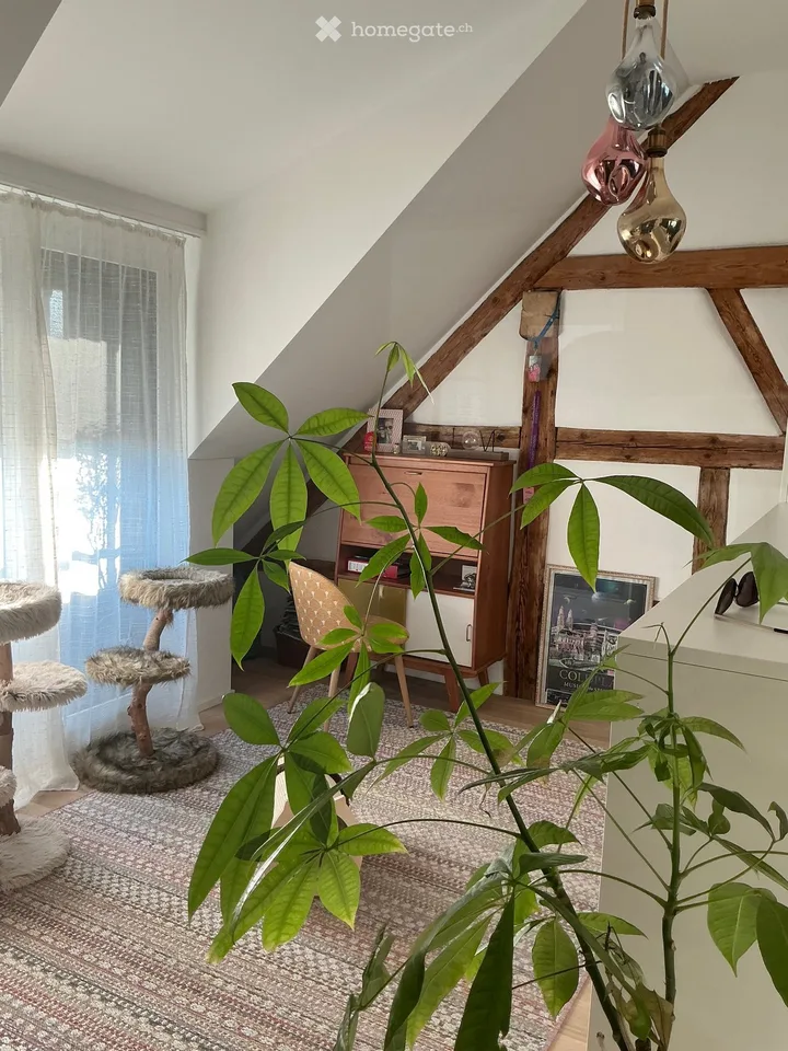 Delizioso appartamento di 3,5 locali in mansarda in una casa colonica ristrutturata a Flaach dal 1 ottobre '26