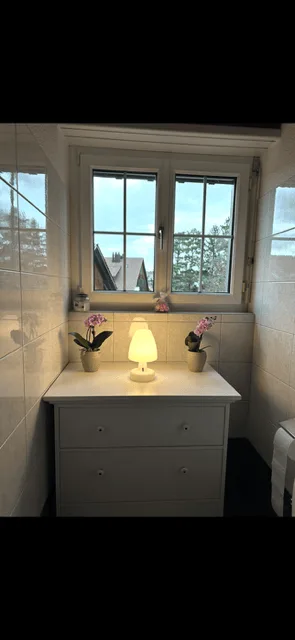 Charmant appartement en duplex de 3,5 pièces à Volketswil, limité jusqu'au 01.10.2026 au 30.09.2027
