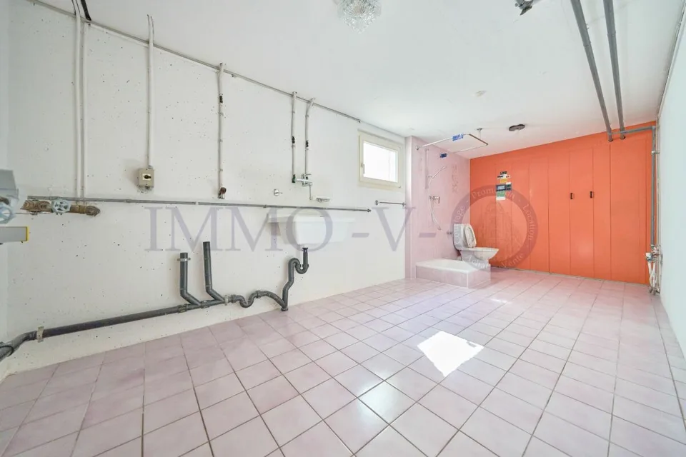 SPACIOUS HIGH-QUALITY VILLA WITH LARGE GARDEN AND SWIMMING POOL