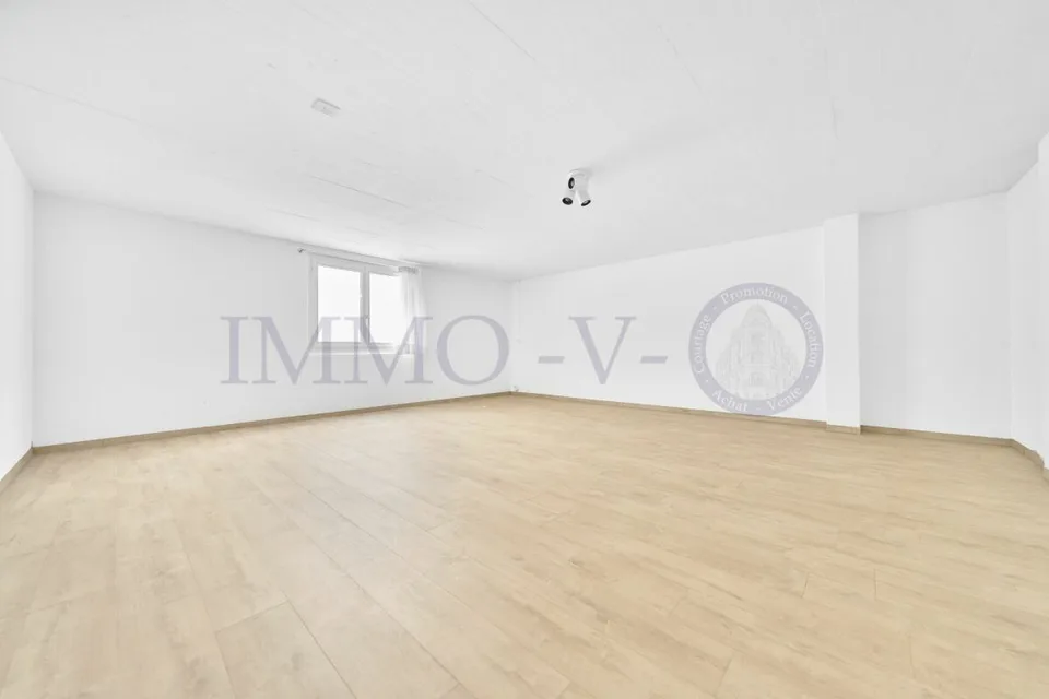 SPACIOUS HIGH-QUALITY VILLA WITH LARGE GARDEN AND SWIMMING POOL