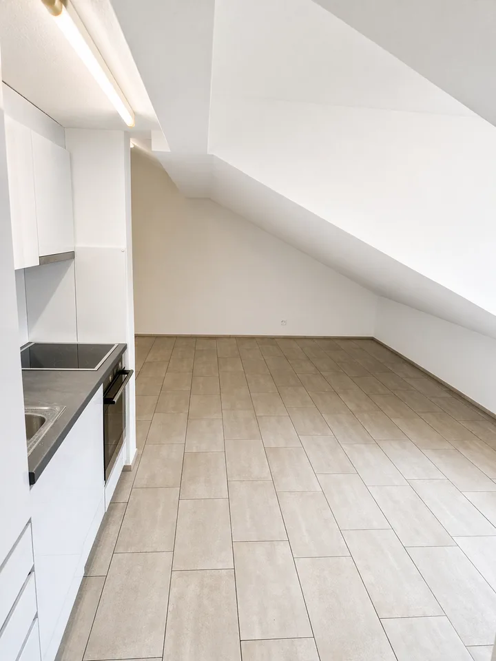 Gemütliche Dachwohnungen in Balsthal