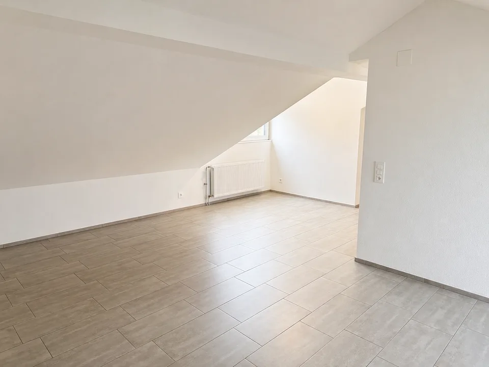 Gemütliche Dachwohnungen in Balsthal