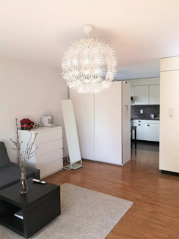 Wohnen am linken Zürichseeufer