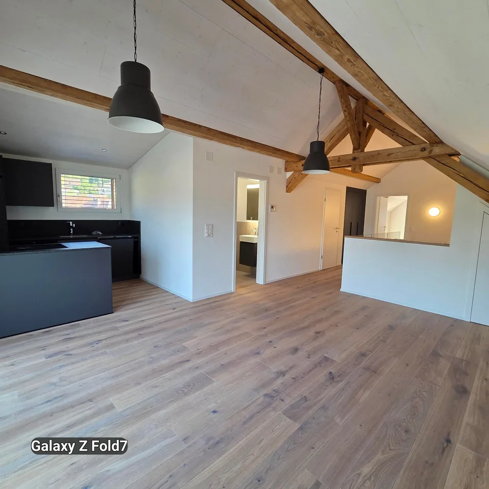 Charmante 2.5-Zimmer-Dachwohnung mit Bergblick in Oensingen