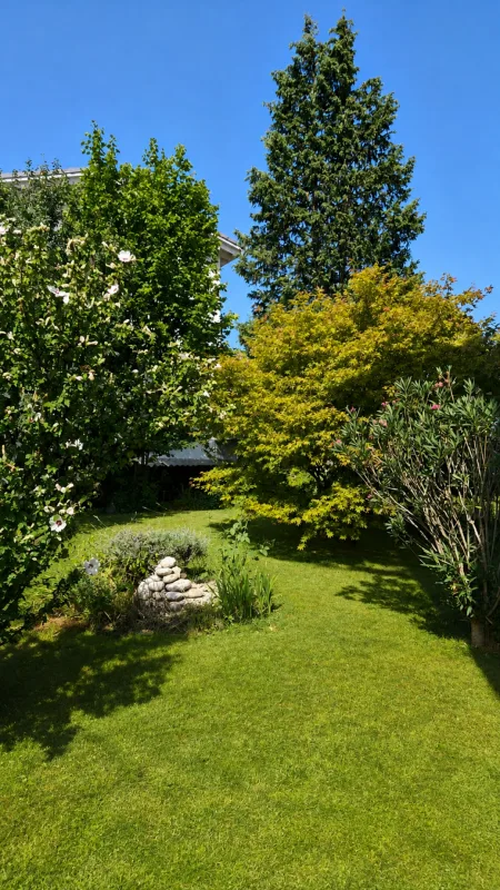 Delizioso appartamento di 3,5 locali con giardino a Strengelbach in vendita