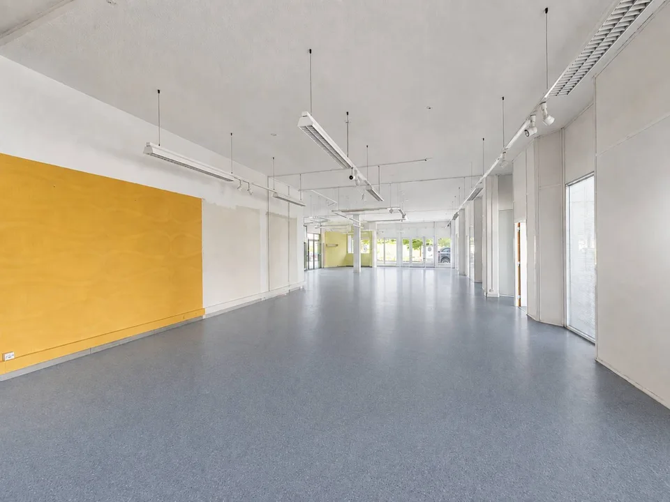PLAIN-PIED - SURFACE COMMERCIALE & INDUSTRIELLE