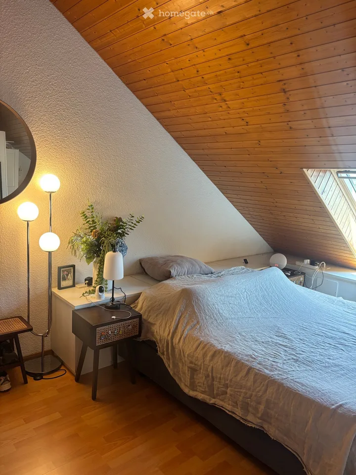 90m2 Loft Apartment with beautiful terrace in the heart of Lausanne