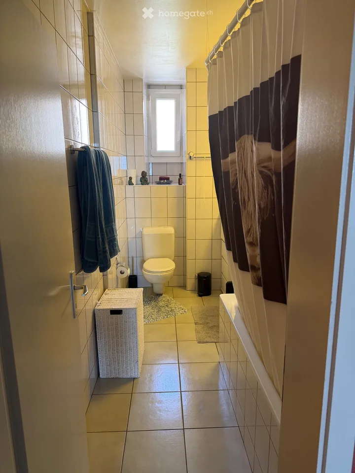 Wohnung Neuchâtel - Übernahme des Mietvertrags