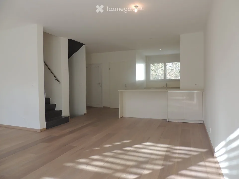 Adjacent 6-room house in Chambésy