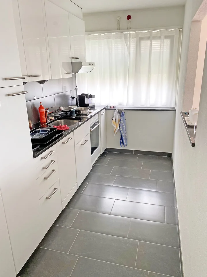 Moderne Singlewohnung am Fusse des Weiningerbergs