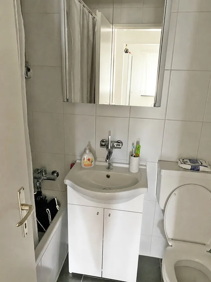 Moderne Singlewohnung am Fusse des Weiningerbergs