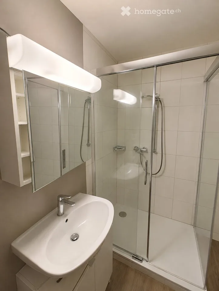 Zweizimmerwohnung 76 m², Terrasse, Blick auf den St-Légier-See