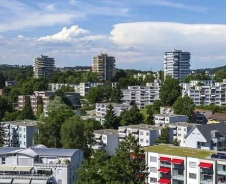 Frisch sanierte Wohnung mit Balkon & Naturblick im Herzen von Effretikon