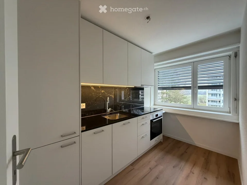 Frisch sanierte Wohnung mit Balkon & Naturblick im Herzen von Effretikon