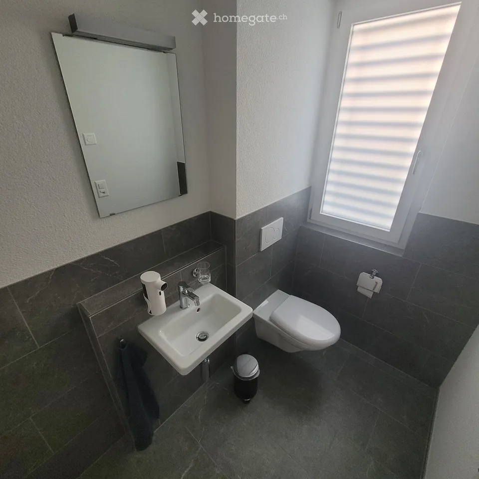 Maison mitoyenne moderne de 5,5 pièces à Embrach – Neuf à louer