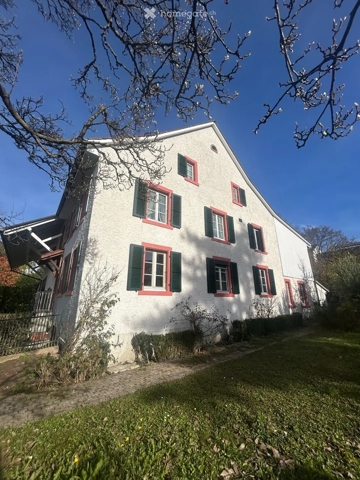 Enjoy the summer in your own garden! Renovated gem waiting for you