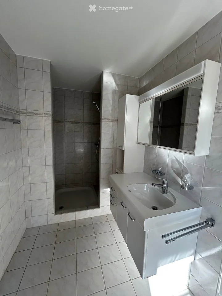 Enjoy the summer in your own garden! Renovated gem waiting for you