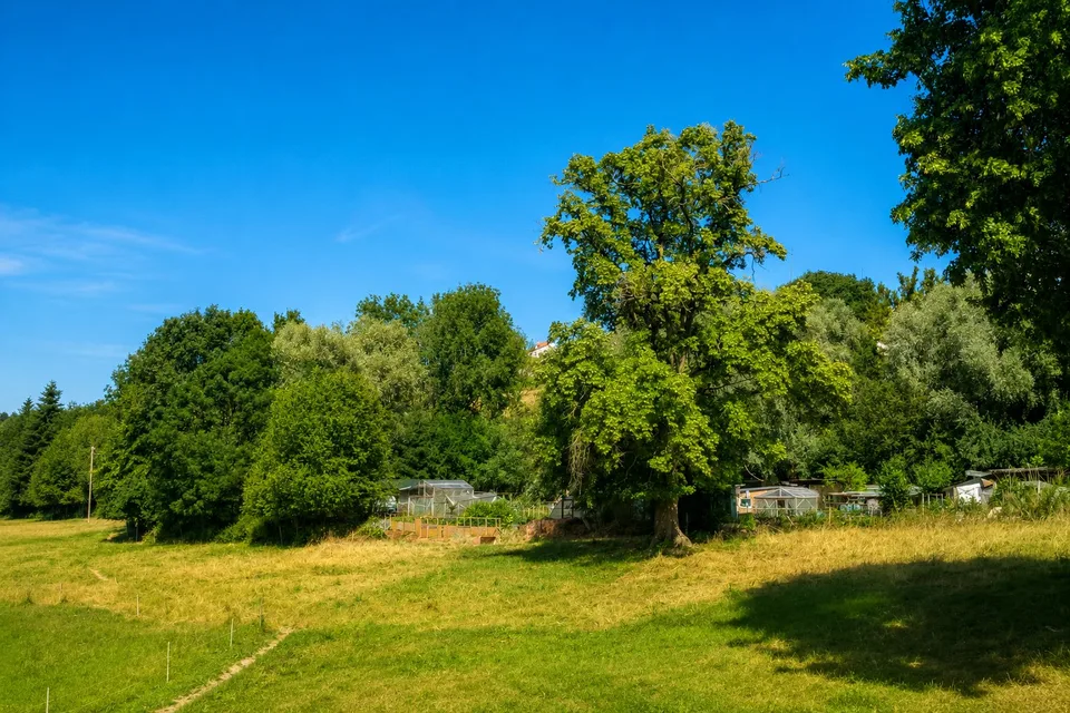 Romont - Parcelle agricole idéalement située à deux pas de la gare