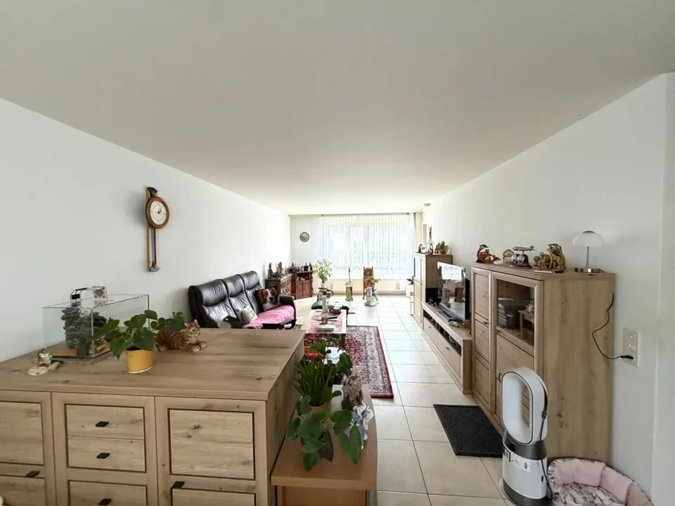 Charmante 4.5 Zimmer Wohnung mit schöner Weitsicht