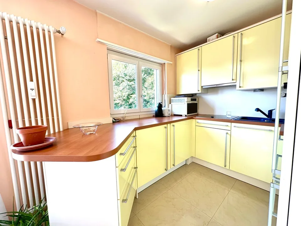 Elegante appartement attique de 3,5 pièces avec vue sur le lac de Lugano