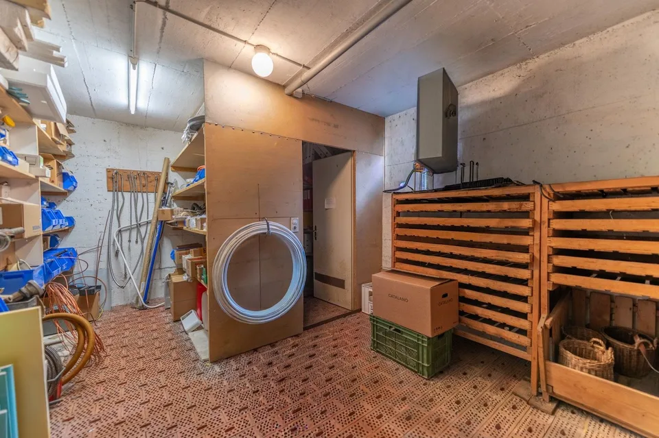 Officina, magazzino o showroom - Spazio commerciale utilizzabile individualmente
